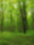 ElevateHealthhome_edited.jpg
